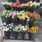 Flower Display Stand, Mobile Plant Cart shelve with Wheels, with Plastic Buckets, Easy to Install, Stepped Plant Stand, Suitable for Indoor and Outdoor Balcony Courtyard Garden Art Exhibitions ( Color