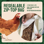 Hatortempt Bulk Dried Mealworms - 10 Lb Bag - Non-GMO Dried Mealworms for Chickens, Ducks & Wild Birds - High-Protein Chicken Feed & Bird Food
