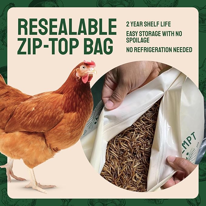 Hatortempt Chicken Feed Dried Mealworms - 5 Lb, Non-GMO & Organic - High-Protein Mealworms for Wild Birds & Ducks, Chicken Treats & Bird Food