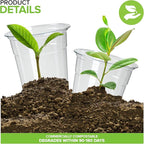 Stock Your Home 16 oz Premium Commercially Compostable Cold Cups (50 Pack), Eco Party Cup, Environmentally Friendly Disposable Sustainable for Water, Wine, Beer Sample