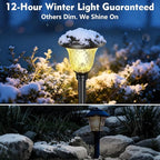 Beau Jardin 8 Pack Solar Pathway Lights Stainless Steel Outdoor Solar Powered Light Waterproof Glass High Lumen for Garden Landscape Path Yard Walkway Patio Driveway Outside White Color Changing Black