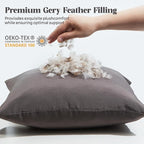 WOLKI Waterproof Outdoor Pillows 20x20 Feather and Down Filled Throw Pillow for Patio Furniture, Outside Decorative Pillow Set of 2, Grey