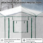 EAGLE PEAK 6.6x6.6 ft Hexagon Pop up Greenhouse, Portable Walk-in Grow Tent for Seed Starting, Garden Plants, Indoor Outdoor Green House, All-Weather Plant Shelter, PE Cover, White/Clear