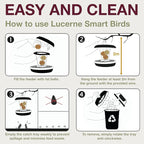 SWISSINNO No Mess Bird Feeder Lucerne Smart Birds for Fat Balls - Feed Birds, not mice & Rats! Robust & Reliable for Hanging - Light Grey