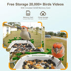 birdsnap® P33 - Bird Feeder with Camera Solar Powered, 2K Video Bird Camera Feeder Live with 32GB Card, AI Identify Feather Species, Auto Record in Backyard, for Birds Lover