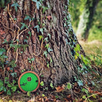 1Pc Fairy Garden Door for Tree, Fairys Doors for Trees Outdoor and Tree Trunk, Mini Fairy Garden Sculpture Lawn Ornament Decor, Fairys Tales Door Decoration，Gardens Miniatures (Green)
