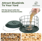 Kingsyard Bluebird Feeders for Outdoors Hanging, All Metal, Cage Bird Feeder with Tray, Squirrel Proof & Weatherproof, Easy to Refill & Clean (Green)