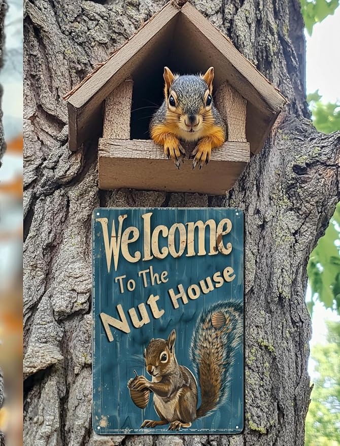 Funny Squirrels Signs Welcome To The Nut House Squirrels Stuff For Indoor Outdoor Decor 12x8 Inches (Navy)