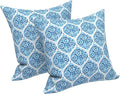 LVTXIII Outdoor Throw Pillow Covers 20 x 20 Inch, Covers ONLY Modern Cute Pattern Decorative Square Toss Pillow Case Pack of 2 for Home Patio Garden Sofa Bed Furniture, Celadon Geometric