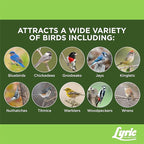 Lyric Fine Tunes No Waste Wild Bird Seed Suet Cakes for Wild Birds, 12 oz. (12 Pack)