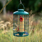 Caged Bird Feeder for Wild Birds Outside, Large Squirrel-Proof Heavy-Duty Metal Hanging Tube Bird Feeder, 4 Feeding Ports, 13.2'' High, 3LB Seed Capacity (Green)