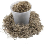Gardenera Premium Natural Spanish Moss | Natural Preserved - Great Ground Cover - Filler for Potted Plants - 5 Quart Bag