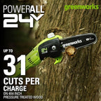 Greenworks 24V 8" Cordless Polesaw (Great For Pruning and Trimming Branches / 125+ Compatible Tools), 2.0Ah Battery and Charger Included
