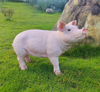 HOUDE Cute Pig Statues, 20.08 inches Long, decorates Outdoor Art Gardens, courtyards, lawns, and Indoor Public Spaces Such as Living Rooms and Balconies. (Pink)