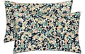 RSH DECOR: Lumbar Throw Pillows Set of 2 | 20” x 12" | All-Weather Spun Fabric | Water and Fade-Resistant | Outdoor Support Pillows for Patio Furniture | Cranston Greige Blue Floral