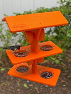 DutchCrafters Plastic Poly Double Platform Hanging Oriole Bird Feeder with Fruit Slice Holders & Nectar Cups, Jelly Bird Feeders for Outside - Amish Made in USA (Double, Bright Orange)