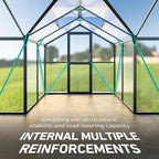12×12FT Green Houses for Outside, Large Walk-in Greenhouses for Outdoors and Winter Garden Planting, Enhanced Aluminum Greenhouse Kit Withstands Strong Wind to Protect Vegetables or Plants