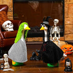 Abbylike 2 Set Halloween Goose Outfits 2024 Movie Juice Clothes Black and White Striped Cape with Green Fur Headgear Fit 23''