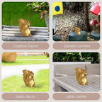 Brown Squirrel Statue with Acorn – Hand-Painted Polyresin Garden Figurine for Lawn, Patio & Planters – Rustic Outdoor Animal Décor