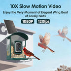 Humbirdy-Bird Feeder with Camera, 8MP Ultra HD Video & Photo, 10x Slow-Motion, 4K 30fps Live View, AI Identify, No Subscription, 2.4G/5G Wi-Fi, Solar Powered, Wildbird Watching Gifts-Metal