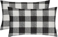 RSH DECOR: Lumbar Throw Pillows Set of 2 | 20” x 12" | All-Weather Spun Fabric | Water and Fade-Resistant | Outdoor Support Pillows for Patio Furniture | Black Buffalo Plaid