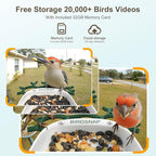 birdsnap® P33 - Bird Feeder with Camera Solar Powered, 2K Video Bird Camera Feeder Live with 32GB Card, AI Identify Feather Species, Auto Record in Backyard, for Birds Lover