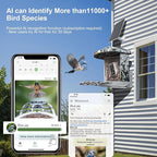 DCT Smart Bird Feeder with Camera: 1080P HD AI Identify 11K+ Species Weatherproof Squirrel Alert APP Control 2-Way Audio for Bird Lovers Garden/Backyard Outdoor Watching Gift