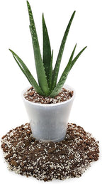 GARDENERA Premium Aloe Vera Potting Soil Mix - 10 Quart - (2 Bags of 5QT)