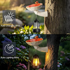 Mushroom with Snail and Lantern Cute Solar Statue Light Garden Decoration Resin Decoration Painted Design Craft Ornament for Indoor Outdoor Gift(Red)