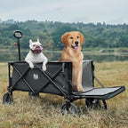 TIMBER RIDGE 49" Extra Long Collapsible Folding Wagon with Tailgate and Brakes, 250L Capacity All-Terrain Wagon Carts Foldable, 300lbs Portable Cart for Dog, Garden, Outdoor Camping Sports, Grey