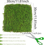 2 Pcs Preserved Sheet Moss for Potted Plants 2 sq.ft. Dried Natural Preserved Moss Mat Green Moss Sheets for Planters Crafts Woodland Decor Garden Party Decorations Wall Art DIY Project Green