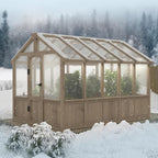 BlueWish 6x10FT Greenhouse, Greenhouses for Outside with Cedar Frame, Wood Greenhouse with Adjustable Vent, 6MM Polycarbonate Panel, Green House for Outside, Garden, Backyard