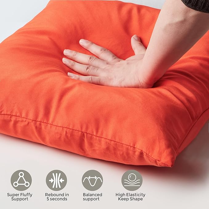 Outdoor Pillows Set of 2, 22''×22''Waterproof Throw Pillow for Patio Furniture, Feathers and Down Filled Outside Decorative Pillows Inserts for Garden, Porch Swing, Couch and Sofa