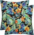 RSH DECOR: Square Throw Pillows Set of 2 | 24” x 24” | All-Weather Spun Fabric | Water and Fade-Resistant | Outdoor Accent Pillows for Patio Furniture | Beachcrest Caviar