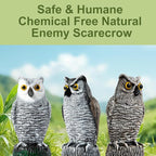 OFFO Bird Scare Devices Plastic Owl Scarecrow for Halloween Decorations Outdoor Garden, Yard, Pool Decoration, 8.3 in Height, Brown