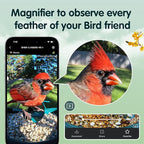 Humbirdy-Bird Feeder with Camera, 8MP Ultra HD Video & Photo, 10x Slow-Motion, 4K 30fps Live View, AI Identify, No Subscription, 2.4G/5G Wi-Fi, Solar Powered, Wildbird Watching Gifts-Metal