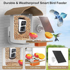 birdsnap® PAV- Smart Bird Feeder with Camera Solar Powered, 64GB Card & 2K HD Record Video Bird Camera Live with 5 DIY Add-ons, AI Identify Auto Capture, Ideal Gift for Birds Lover