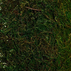 Byher Dried Moss Table Runner for Party Garden Decoration, Dark Green 30cm X 180cm ( 12" x 71" )