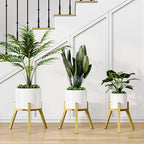 Adjustable Plant Stands Set of 2, Metal Modern Small Plant Holder, Heavy Duty Stable Flower Holder Stand Rack for 10-16 Inch Indoor Outdoor Corner Living Room Balcony Office Golden PS-007GY-2