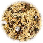 Gardenera Premium PHALAENOPSIS Imperial Orchid Potting Mix - Hand Mixed in Small Batches | Great for Phalaenopsis of All Kinds - 1 Quart Bag