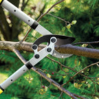 JARDINEER 3Pcs Branch Cutter Heavy Duty, Extendable Loppers for Tree Trimming, 28-38.5" Garden Lopper with 2 Inch Cutting Capacity, Include Pruning Shear and SK5 Spare Blade