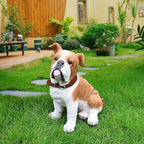 English Bulldog Outdoor Dog Statue with Flip-Over “Welcome/ON Patrol” Plaque and Solar Path Lantern, Brown & White Sitting Puppy for Porch & Lawn