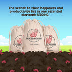 Red Wigglers Composting Worms - 1/4lb Red Worms for Composting Bin, for Plants or Gardening, Compost Worm for Soil Fertility & Worm Farm, Easy to Manage