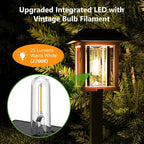 XMCOSY+ Solar Lights Outdoor Waterproof IP65, 25 LM Garden Light for Yard Pathway, Dual-Tone LED Lights with Seed Glass Metal, Solar Powered Landscape Walkway Pathway Decor Lighting (Warm White)