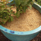 Gardenera Rice Hulls for Potting Applications - Promote Root Development, Water Efficiency, and Disease Resistance - 5 QUARTS