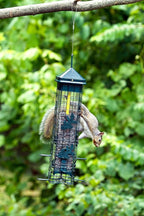 Squirrel Solution200 Squirrel-proof Bird Feeder w/6 Feeding Ports, 3.4-pound Seed Capacity, Free Seed Funnel