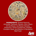 Lyric Fruit & Nut Wild Bird Seed Suet Cakes for Wild Birds, 12 oz. (12 Pack)