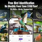 No-Monthly-Fees Solar Bird Feeder with 4MP Camera, Free AI Birds Species Identification, 2.5K Smart Bird House with Cam, Instant Arrival Alerts, Squirrel-Proof, Ideal