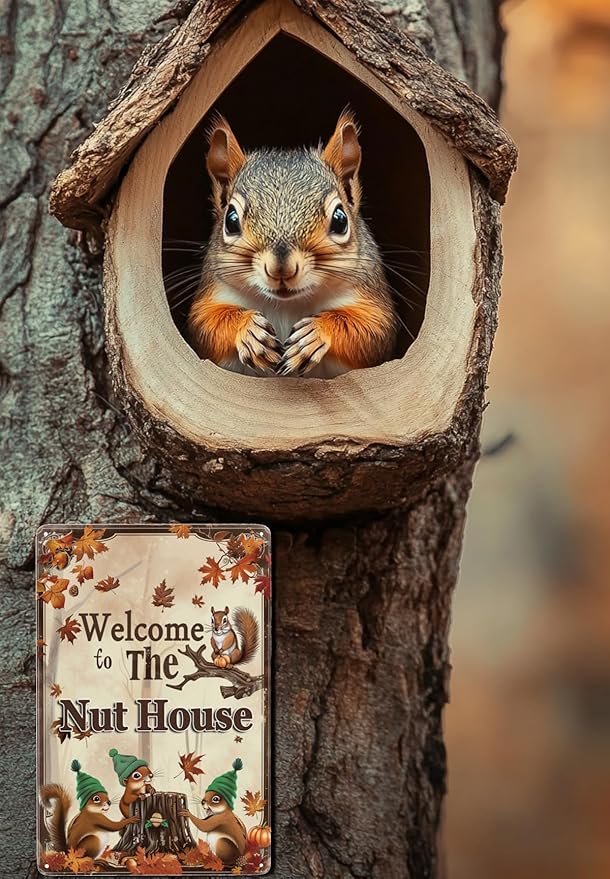 Funny Squirrels Signs Welcome To The Nut House Squirrels Stuff For Indoor Outdoor Decor 12x8 Inches (Yellow)