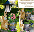Outdoor Rabbit Garden Statues with Solar Lantern Flowerpot- Bunny Figurine Rabbit Decor for Home Lawn,Balcony Yard Art Garden Patio Decor,Unique Housewarming Birthday Gifts for Women Mom